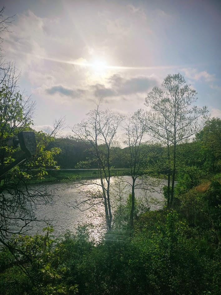 The Romance of Rain at Season's Eden