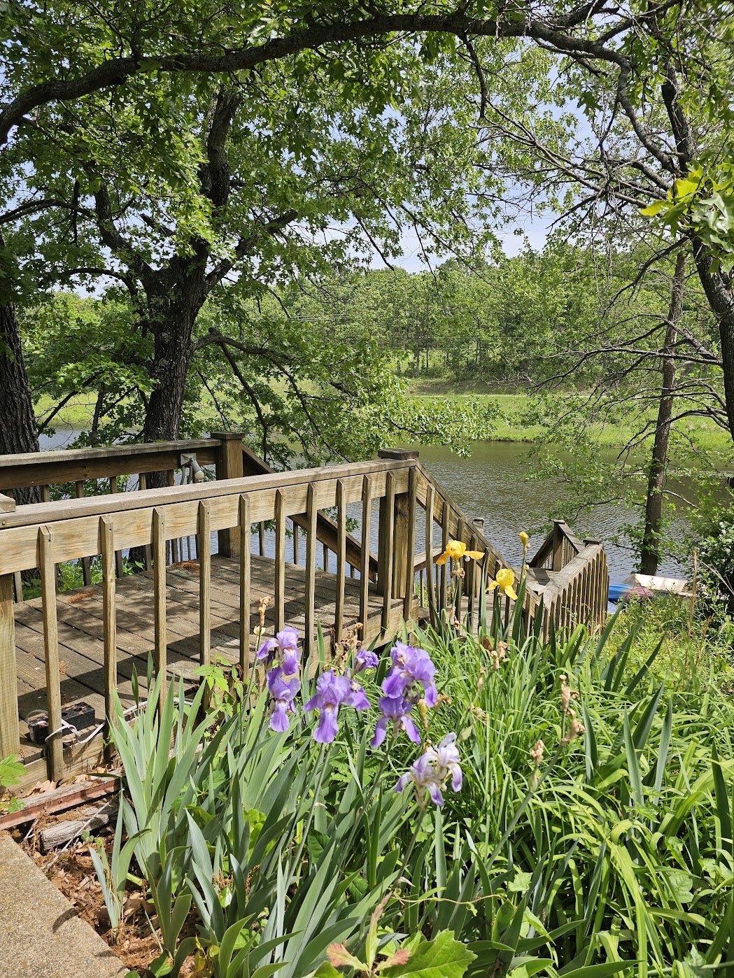 After the Rain: How Season's Eden is Blooming Into a Dream